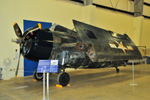 WILDCAT